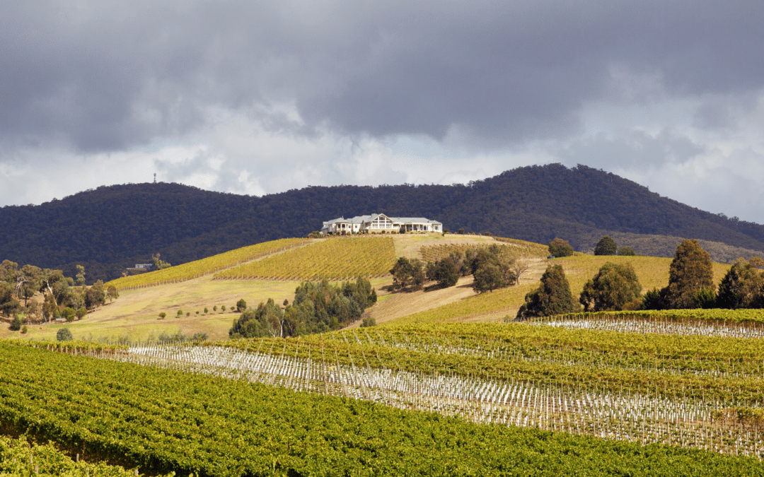 Craving A Tree Change? Moving From The City To The Yarra Valley.