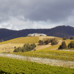 Craving A Tree Change? Moving From The City To The Yarra Valley.