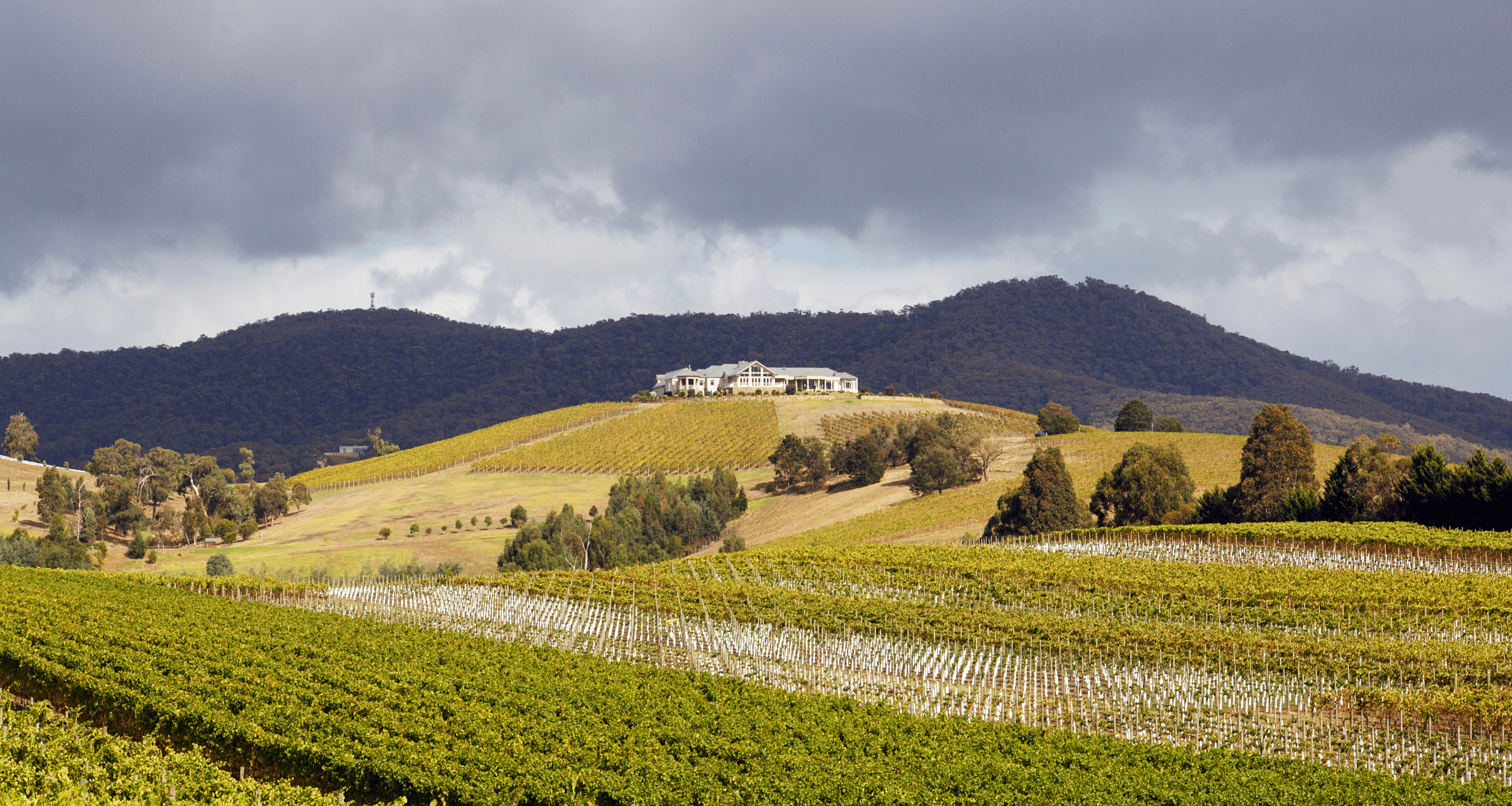 Craving A Tree Change? Moving From The City To The Yarra Valley.