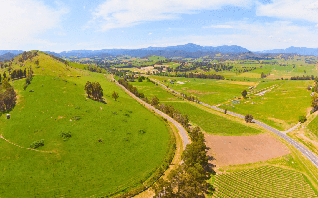 Your Guide to Summer the Yarra Valley