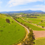 Yarra Valley Summer