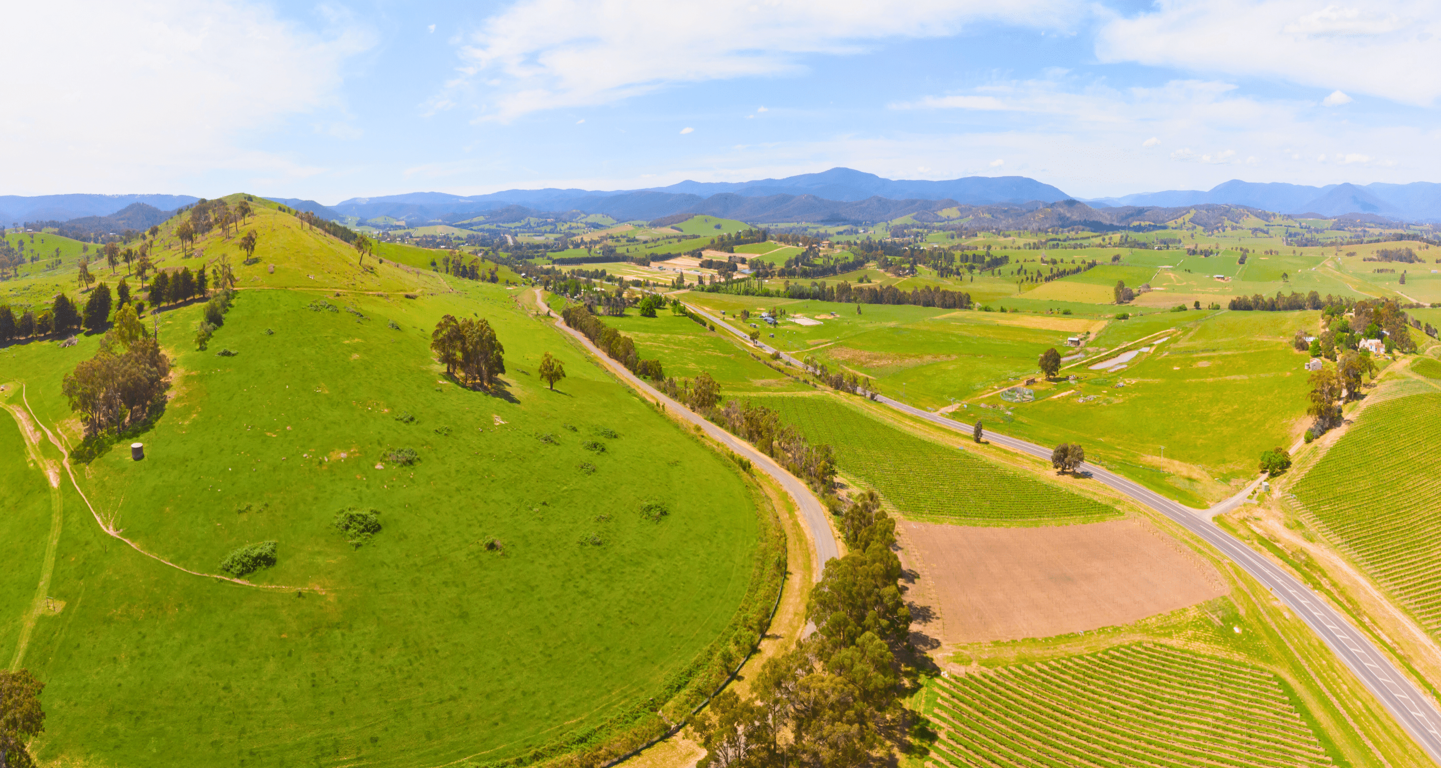 Yarra Valley Summer