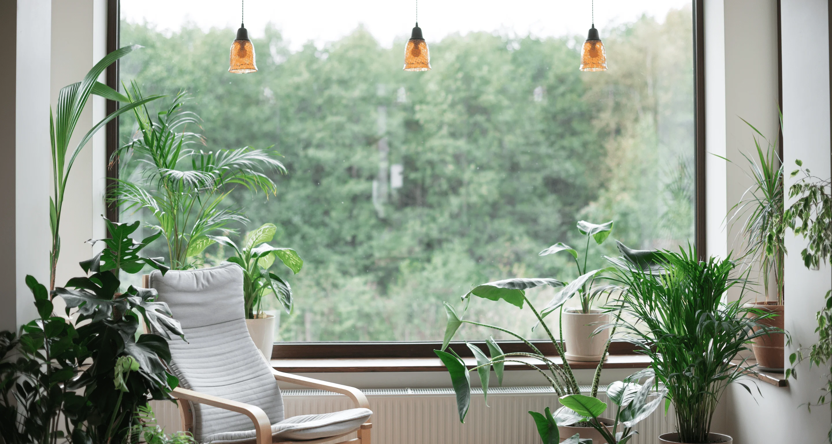 How Australia is pioneering Sustainable Living