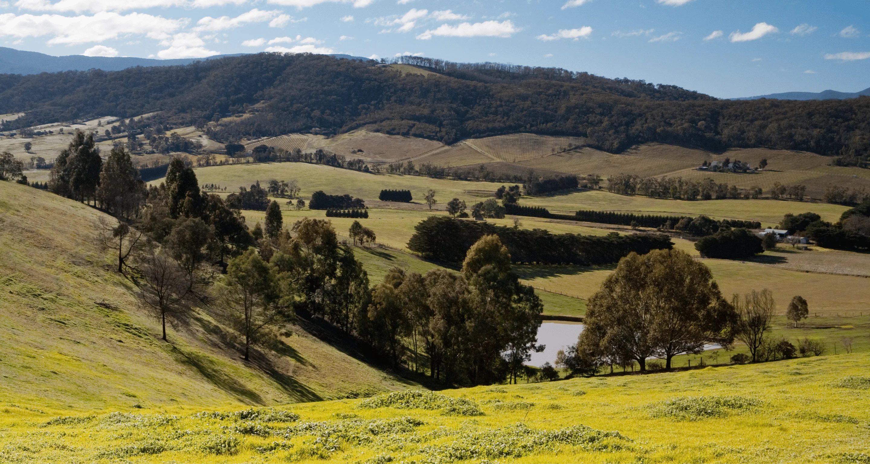 Yarra Valley
