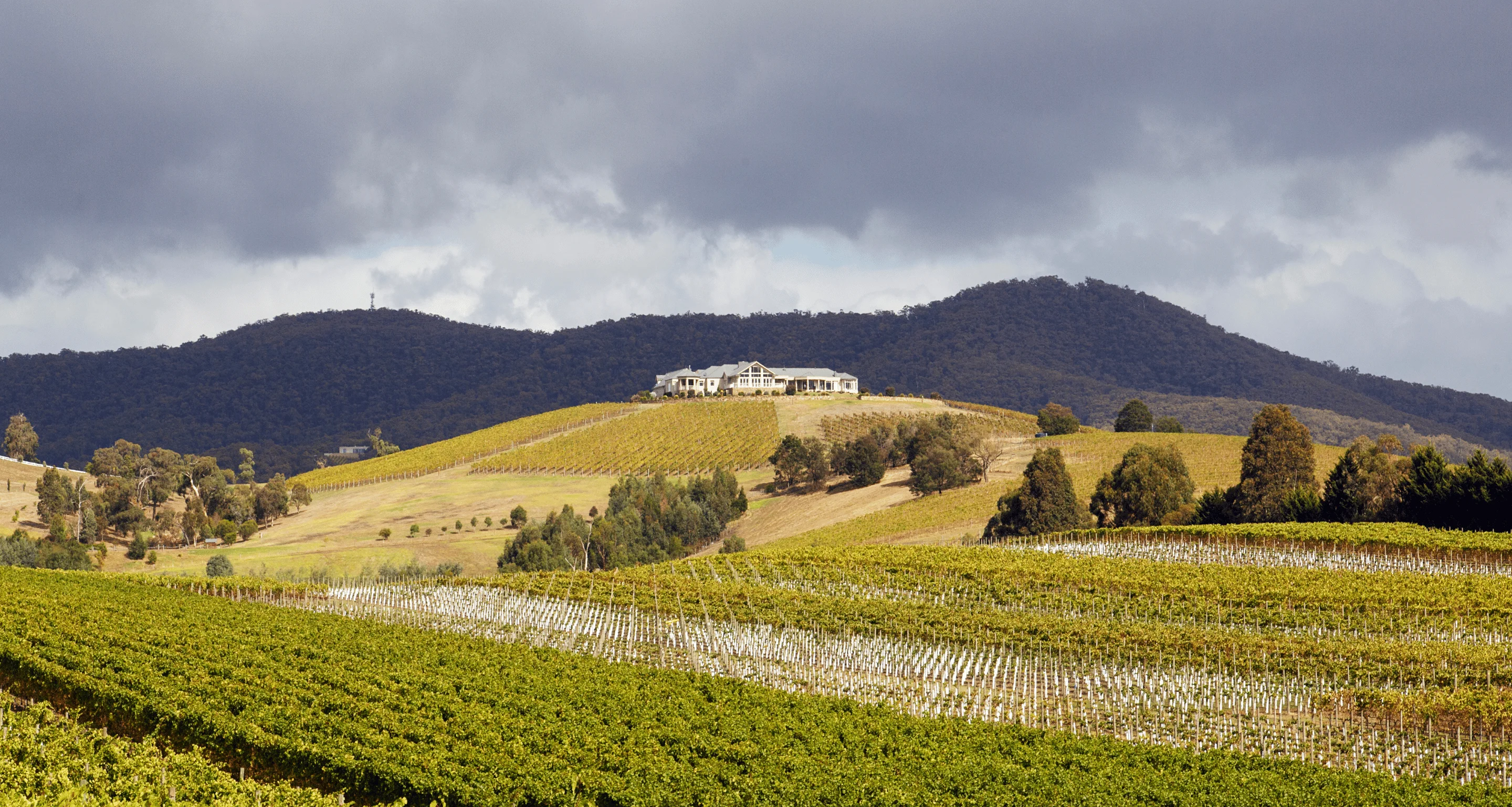 Craving A Tree Change? Moving From The City To The Yarra Valley.